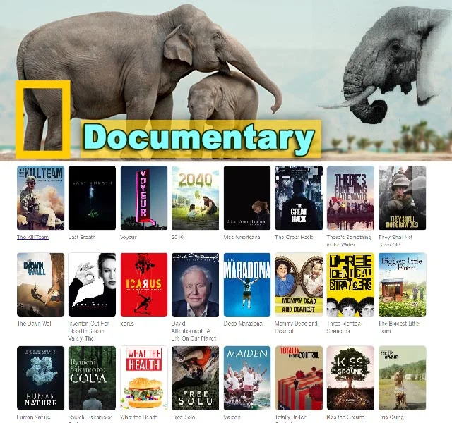 IPTV Provider
